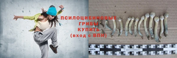 соль курить ск Новозыбков