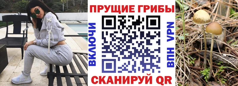 цены   нарко площадка состав  Галлюциногенные грибы мицелий  Нижние Серги 